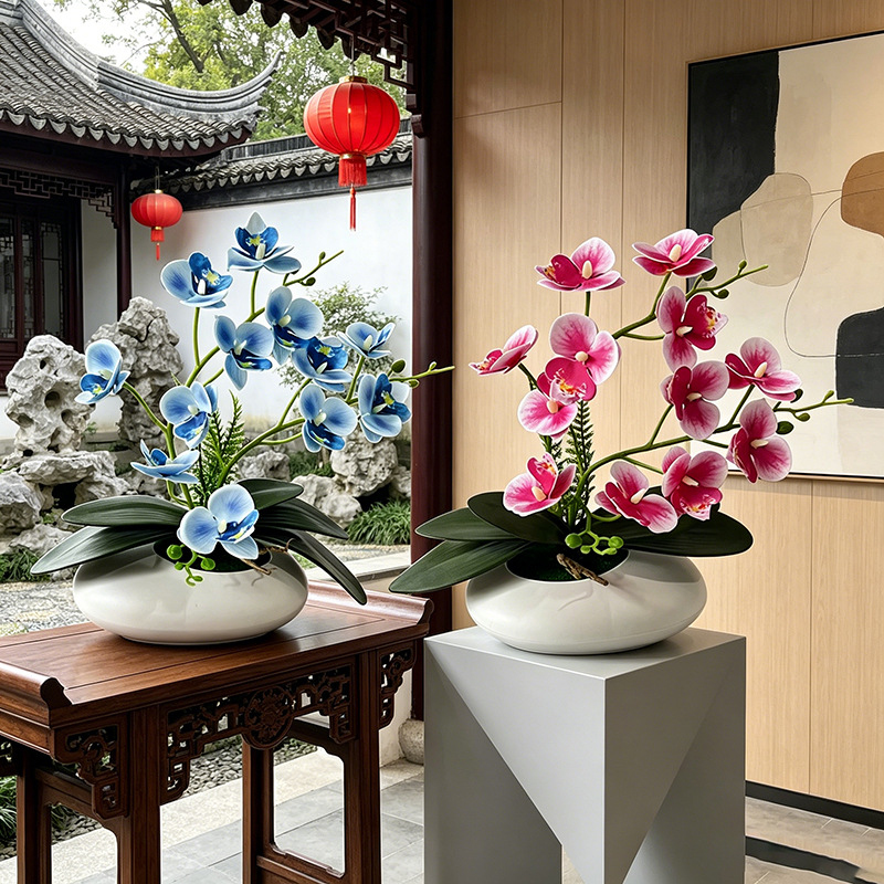 Photography Graduation - Butterfly Orchid 12 Flower Bonsai Small