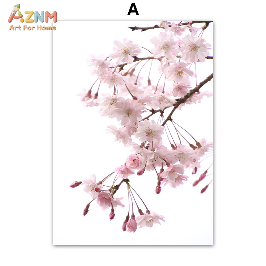 AZNM Pink Cherry Blossom Canva - Photography Quotes reseña y precio