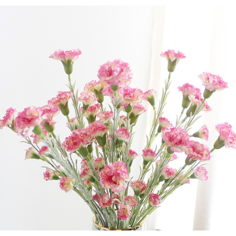 21In Carnation Artificial Flow - Photography Graduation reseña y precio