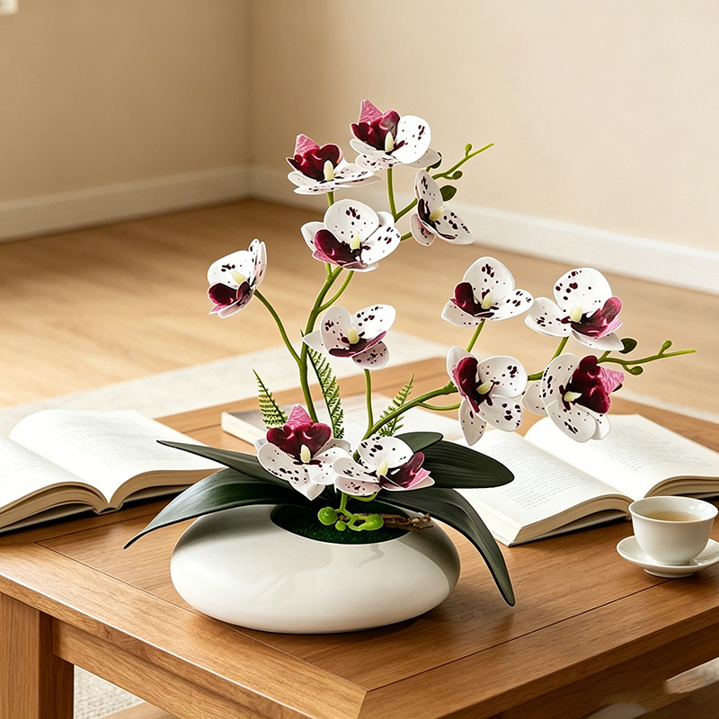 Butterfly Orchid 12 Flower Bon - Photography Graduation reseña y precio