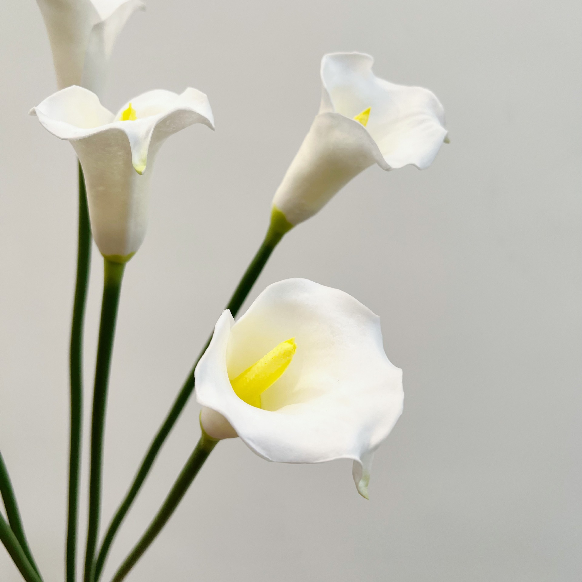 26 Inch Single Stem Crescent C - Photography Graduation reseña y precio