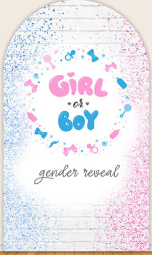 LS Gender Reveal Party Arch Co - Photography Questions reseña y precio