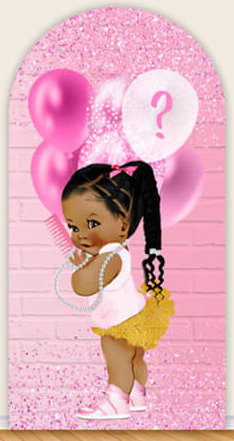 LS Gender Reveal Party Arch Co - Photography Questions reseña y precio