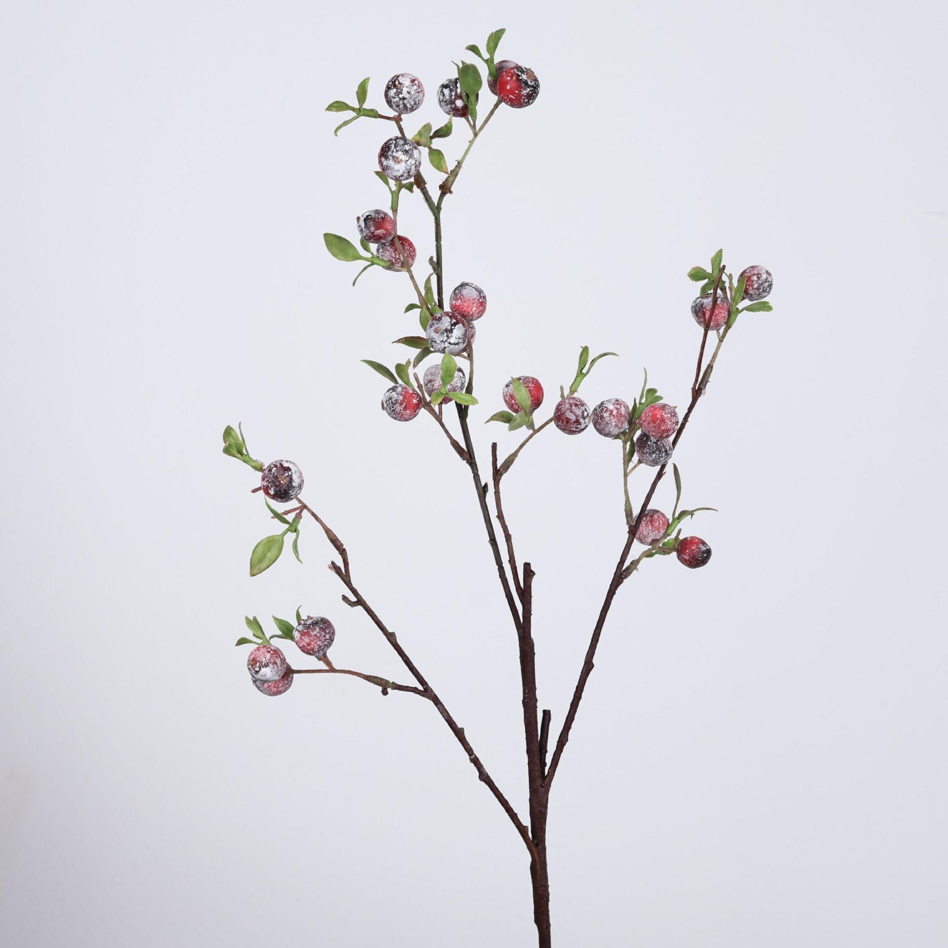 28.3 Inch Artificial Wild Berr - Photography Graduation reseña y precio